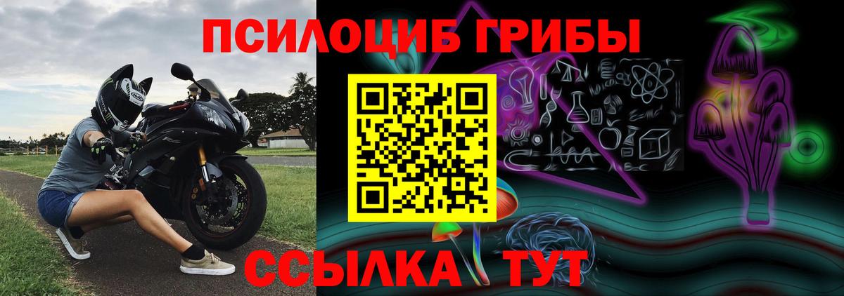  COCAIN Йошкар-Ола